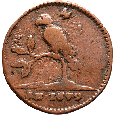 4 Papegaaienduit 1679 Suriname