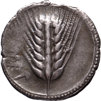 AR Stater Lucania, Metapontum, 540-510 BC